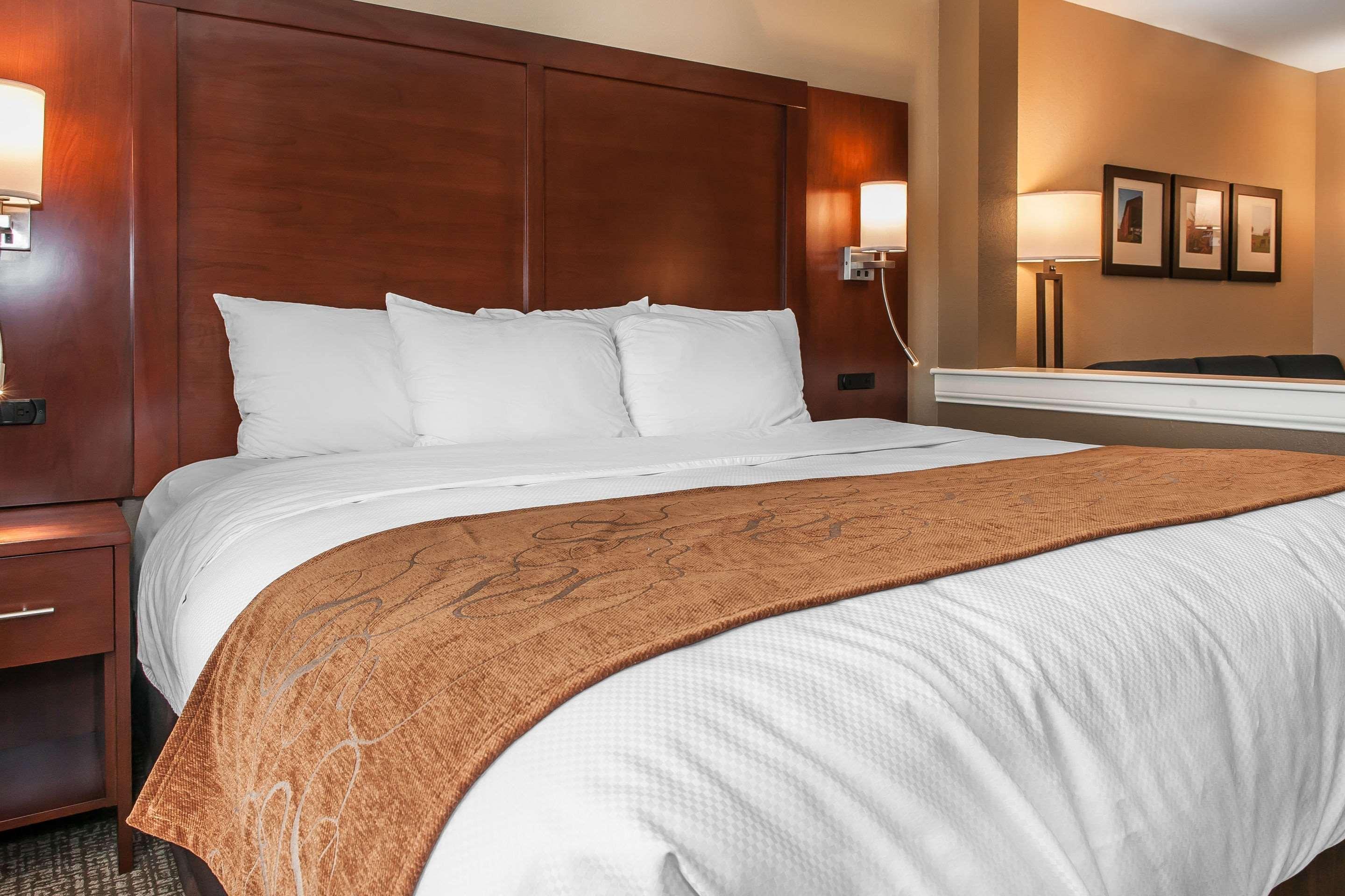 Comfort Suites Rensselaer Near Fair Oaks Екстериор снимка
